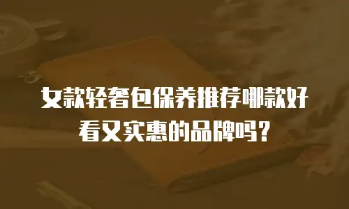 女款轻奢包保养推荐哪款好看又实惠的品牌吗？