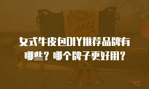 女式牛皮包DIY推荐品牌有哪些？哪个牌子更好用？