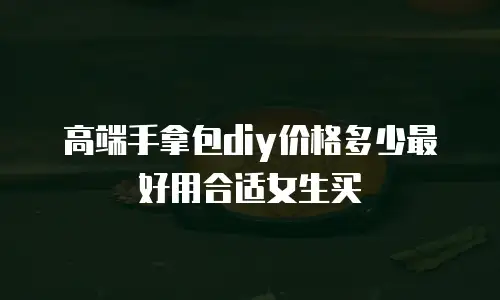 高端手拿包diy价格多少最好用合适女生买