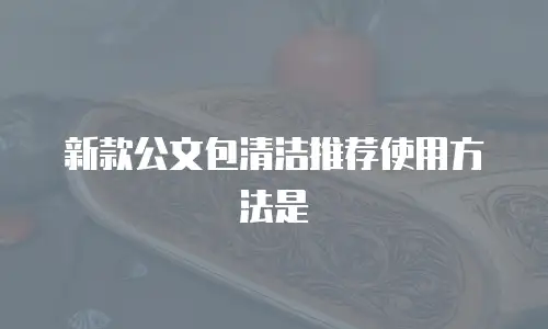 新款公文包清洁推荐使用方法是