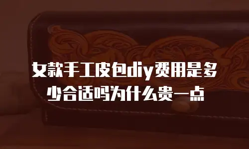 女款手工皮包diy费用是多少合适吗为什么贵一点