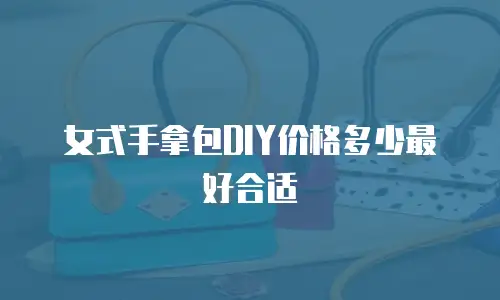 女式手拿包DIY价格多少最好合适