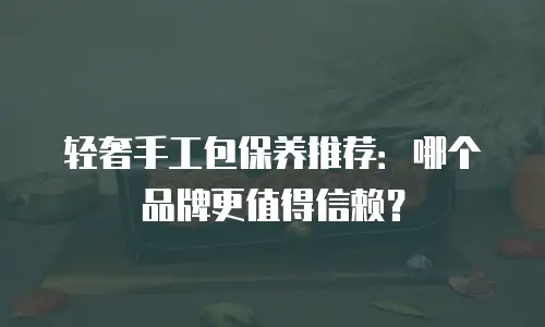 轻奢手工包保养推荐：哪个品牌更值得信赖？