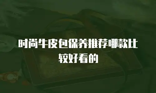 时尚牛皮包保养推荐哪款比较好看的