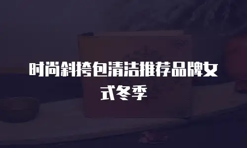 时尚斜挎包清洁推荐品牌女式冬季