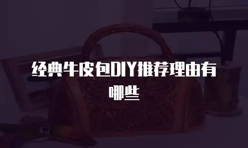 经典牛皮包DIY推荐理由有哪些