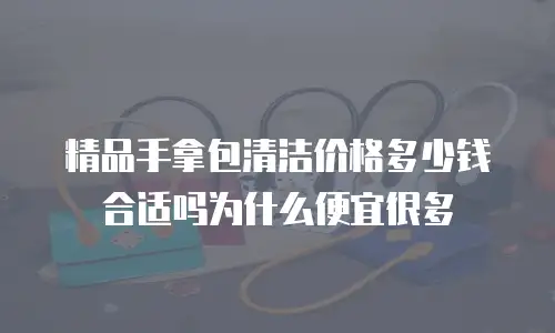 精品手拿包清洁价格多少钱合适吗为什么便宜很多