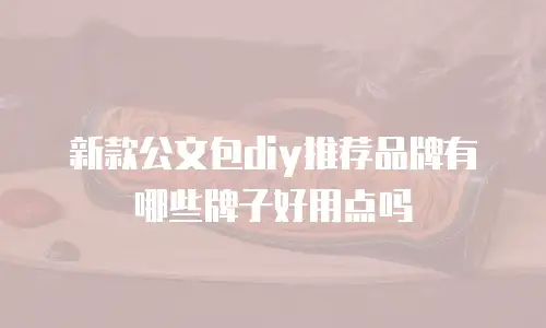 新款公文包diy推荐品牌有哪些牌子好用点吗
