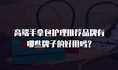 高端手拿包护理推荐品牌有哪些牌子的好用吗？