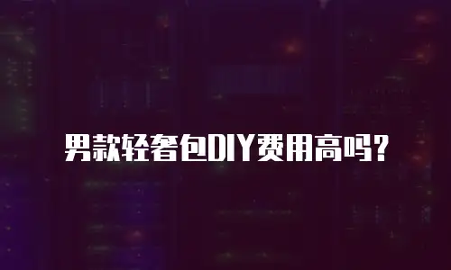 男款轻奢包DIY费用高吗？