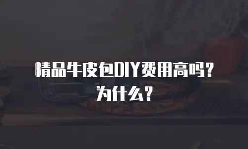 精品牛皮包DIY费用高吗？为什么？