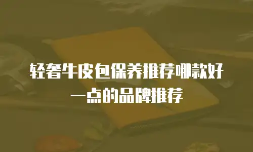 轻奢牛皮包保养推荐哪款好一点的品牌推荐