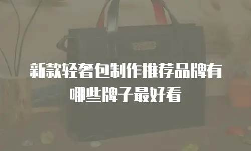 新款轻奢包制作推荐品牌有哪些牌子最好看