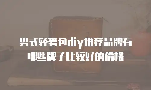 男式轻奢包diy推荐品牌有哪些牌子比较好的价格