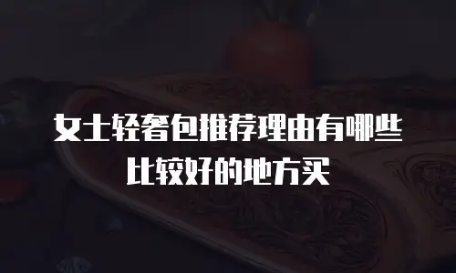 女士轻奢包推荐理由有哪些比较好的地方买