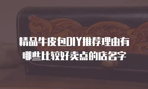 精品牛皮包DIY推荐理由有哪些比较好卖点的店名字