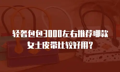 轻奢包包3000左右推荐哪款女士皮带比较好用？