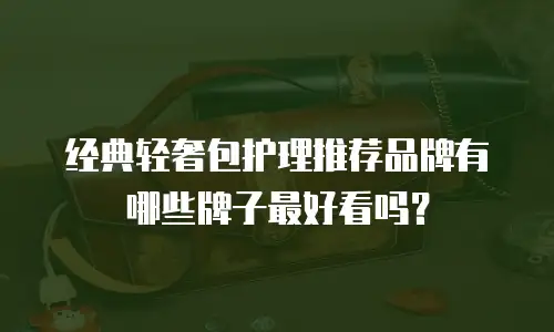 经典轻奢包护理推荐品牌有哪些牌子最好看吗？
