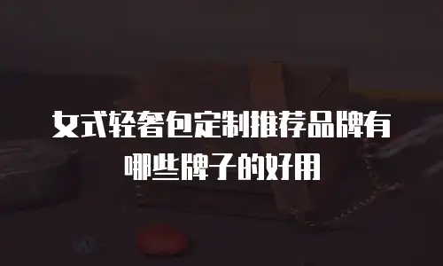 女式轻奢包定制推荐品牌有哪些牌子的好用