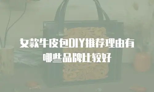 女款牛皮包DIY推荐理由有哪些品牌比较好