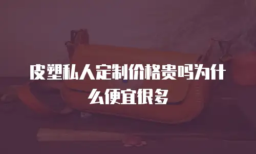 皮塑私人定制价格贵吗为什么便宜很多