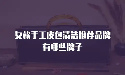 女款手工皮包清洁推荐品牌有哪些牌子