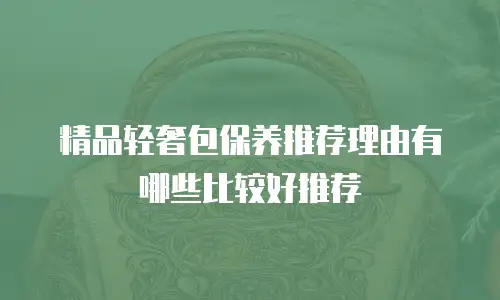 精品轻奢包保养推荐理由有哪些比较好推荐