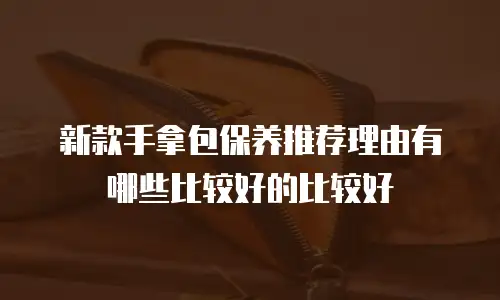 新款手拿包保养推荐理由有哪些比较好的比较好