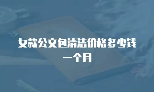 女款公文包清洁价格多少钱一个月