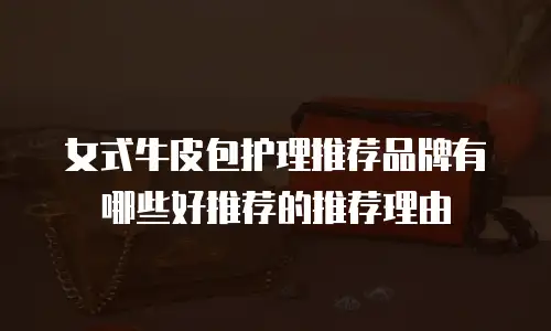 女式牛皮包护理推荐品牌有哪些好推荐的推荐理由