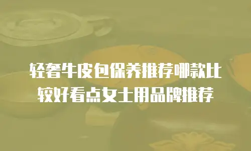 轻奢牛皮包保养推荐哪款比较好看点女士用品牌推荐