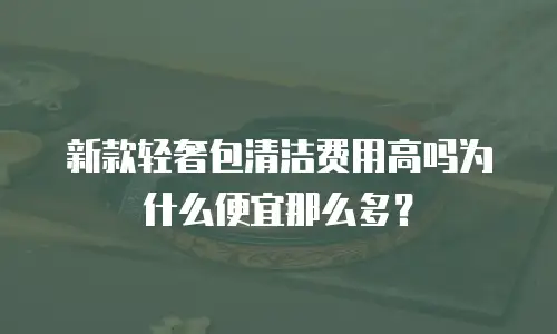 新款轻奢包清洁费用高吗为什么便宜那么多？