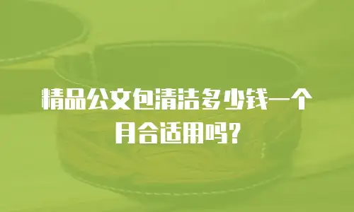 精品公文包清洁多少钱一个月合适用吗？