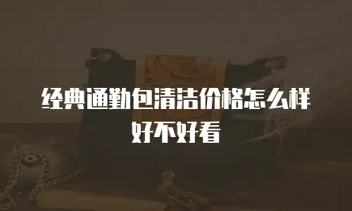 经典通勤包清洁价格怎么样好不好看