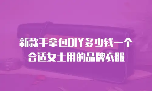 新款手拿包DIY多少钱一个合适女士用的品牌衣服
