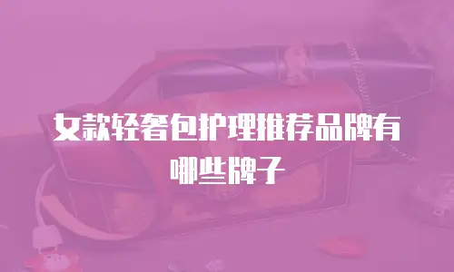 女款轻奢包护理推荐品牌有哪些牌子