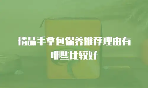 精品手拿包保养推荐理由有哪些比较好