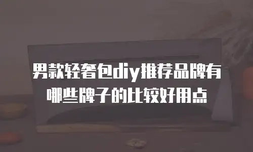男款轻奢包diy推荐品牌有哪些牌子的比较好用点