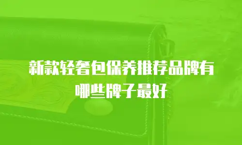 新款轻奢包保养推荐品牌有哪些牌子最好