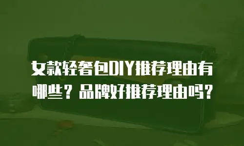 女款轻奢包DIY推荐理由有哪些？品牌好推荐理由吗？