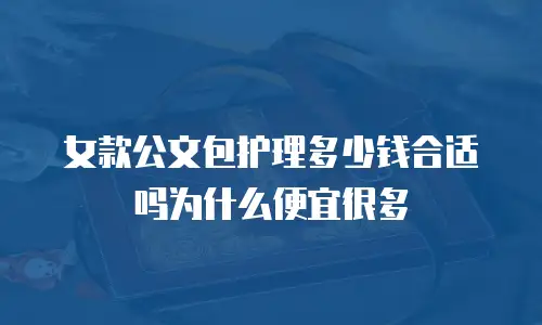 女款公文包护理多少钱合适吗为什么便宜很多