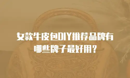 女款牛皮包DIY推荐品牌有哪些牌子最好用？