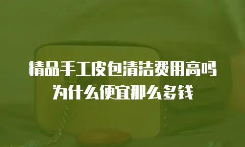 精品手工皮包清洁费用高吗为什么便宜那么多钱