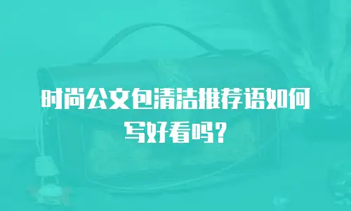时尚公文包清洁推荐语如何写好看吗？
