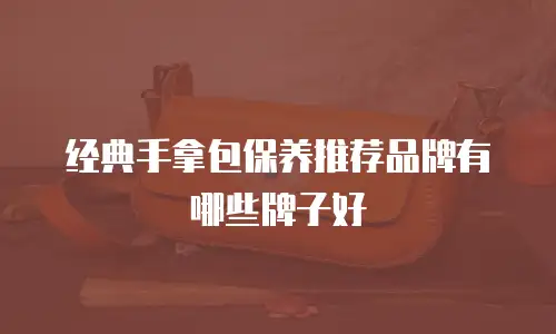 经典手拿包保养推荐品牌有哪些牌子好