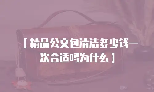 【精品公文包清洁多少钱一次合适吗为什么】