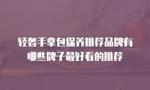 轻奢手拿包保养推荐品牌有哪些牌子最好看的推荐