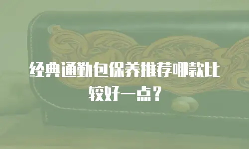 经典通勤包保养推荐哪款比较好一点？