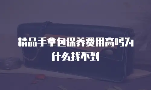 精品手拿包保养费用高吗为什么找不到
