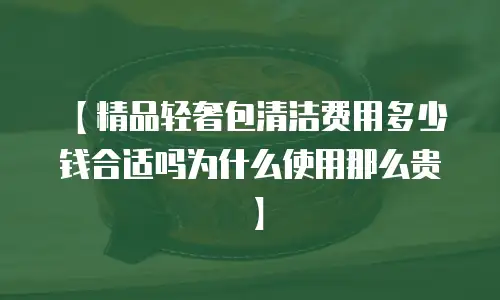 【精品轻奢包清洁费用多少钱合适吗为什么使用那么贵】
